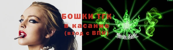 дмт Алексин