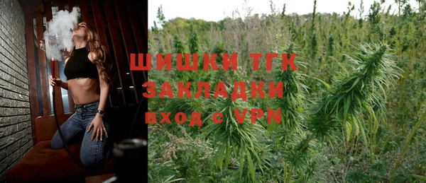дмт Алексин