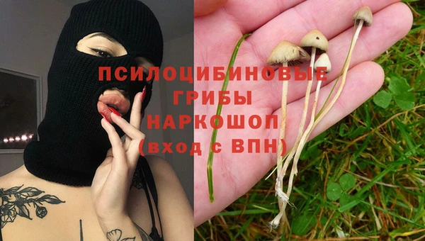 соль ск Алзамай