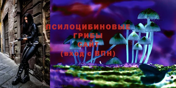 соль ск Алзамай