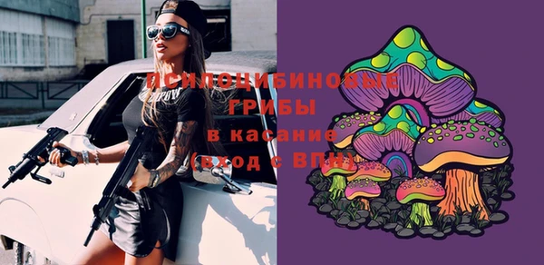 амф Алексеевка